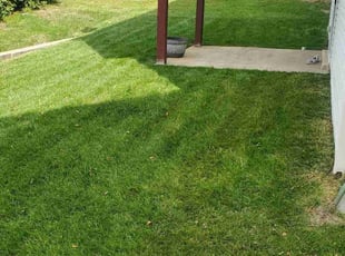 Terrance G.'s Grass Cutting service result