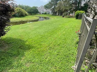 Kristina W.'s Lawn Care service result