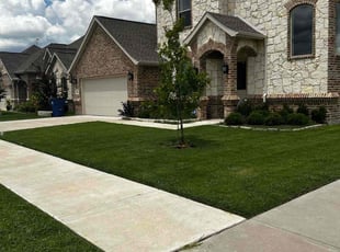 Lorene H.'s Grass Cutting service result