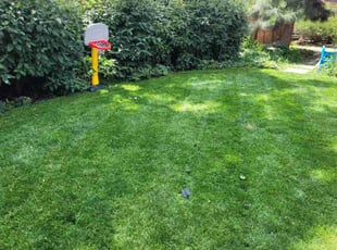 Cindy S.'s Lawn Care service result