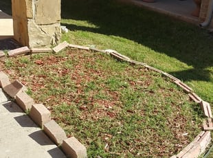 Weeding by Edward Rodriguez for Shaquida W. in Fort Worth, TX