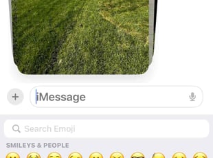 Bryan C.'s Lawn Care service result