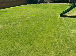 Jessica E.'s Lawn Service service result