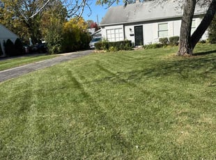 Suzanne R.'s Lawn Care service result