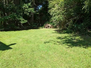 Angela F.'s Grass Cutting service result