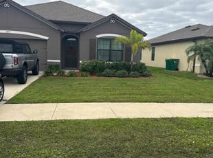 Wahib S.'s Lawn Service service result