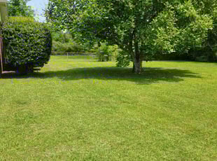 Matthew G.'s Lawn Service service result