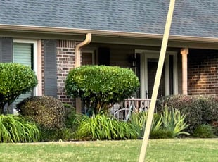 Bush Trimming by Ann Lawrence for Nancy J. in Harvest, AL
