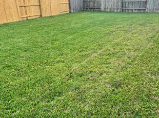 Burt S.'s Yard Cutting service result
