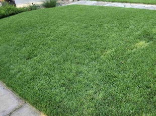 Teri G.'s Lawn Care service result