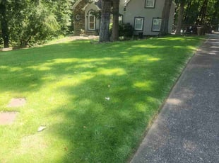 Tommy z.'s Lawn Maintenance service result