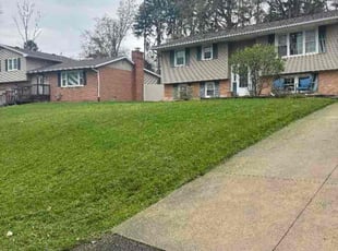 Stephanie T.'s Yard Cutting service result