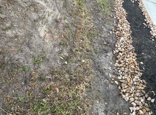 Weeding by Paz Silva for Oladapo A. in Houston, TX