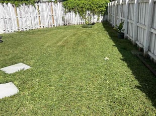 Ryan P.'s Yard Cutting service result