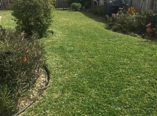 Guy E.'s Lawn Service service result