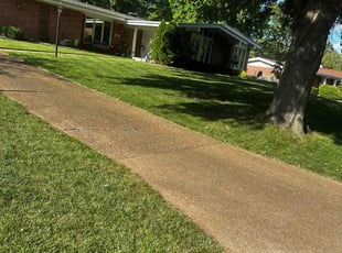 Roosevelt g.'s Lawn Mowing service result