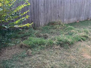 Cleanups by Jason Lees for Ryan K. in Oklahoma City, OK