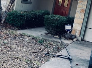 Bush Trimming by Dontrey Chambers for Claudia H. in Austin, TX