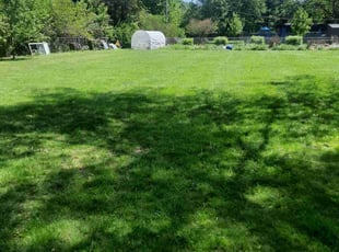 Craig S.'s Lawn Mowing service result