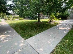 Richard C.'s Lawn Mowing service result