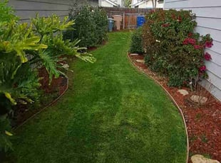 Maria H.'s Lawn Service service result