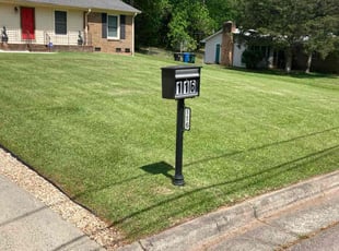 Kenny F.'s Lawn Service service result