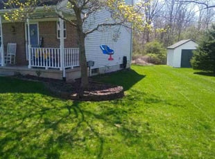 Sharon G.'s Lawn Mowing Service service result