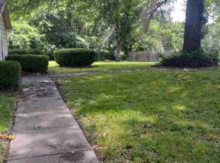 Cleanups by Lance Reynolds for Corey P. in Raytown, MO