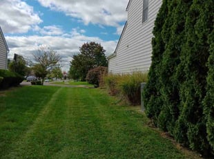 Adriaan E.'s Lawn Mowing Service service result