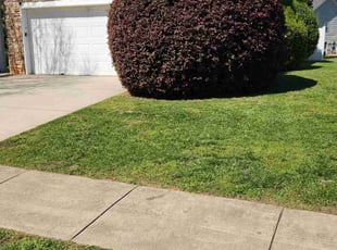 Alex R.'s Grass Cutting service result