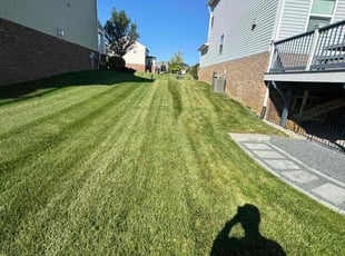 Kim D.'s Grass Cutting service result