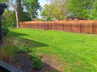 Michele C.'s Lawn Care service result