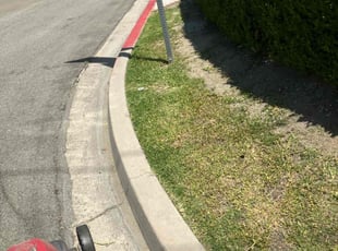 Anthony R.'s Lawn Maintenance service result