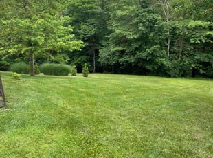 Harold B.'s Lawn Maintenance service result