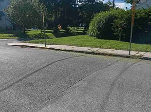 Mathew G.'s Lawn Care service result