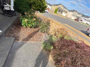 Weeding by Joseph Holley for Ian W. in Orting, WA