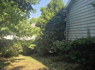 Bush Trimming by Abdiel Carral for Mark F. in Carrollton, GA