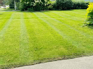 Mary C.'s Lawn Care service result