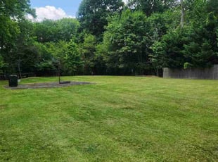 Jane S.'s Lawn Care service result