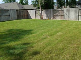 Deidre M.'s Lawn Mowing service result
