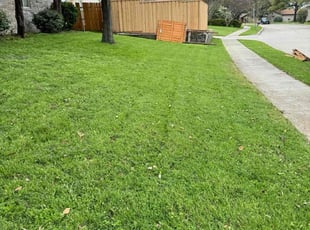 Melisa E.'s Lawn Care service result