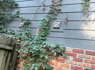 Bush Trimming by Ernso Sincere for Sarah A. in Tallahassee, FL