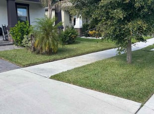 Darlene B.'s Lawn Mowing service result