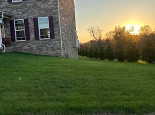Kimberly S.'s Lawn Care service result