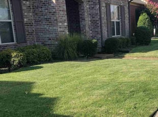 Bush Trimming by graham wing for Donna S. in Collierville, TN