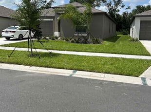 Susan C.'s Lawn Maintenance service result