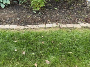Weeding by Jeremy Reichard for Janet E. in Allentown, PA