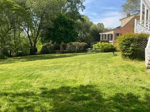 Connie C.'s Grass Cutting service result