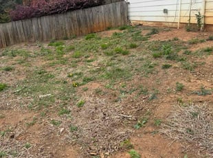 Weeding by Armando J for Michael R. in Johns Creek, GA