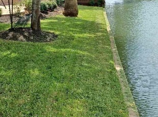 Bendu J.'s Lawn Mowing service result